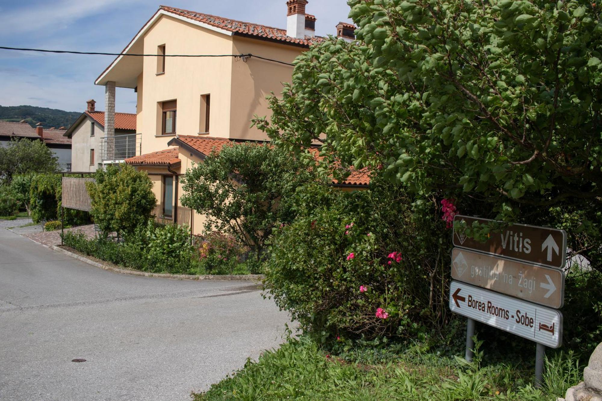 Séjour chez l'habitant Borea - Sobe Budanje Vipava